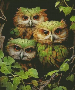 Green Group Of Owls Diamond Painting