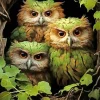 Green Group Of Owls Diamond Painting