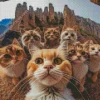 Group Cats Selfie Diamond Painting