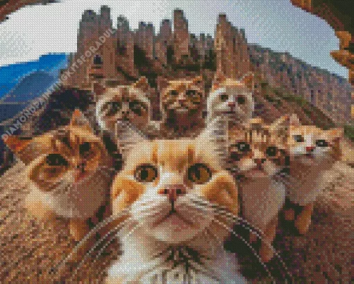 Group Cats Selfie Diamond Painting