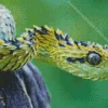 Snake With Feathers Diamond Painting