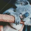 Tired Koala Diamond Painting