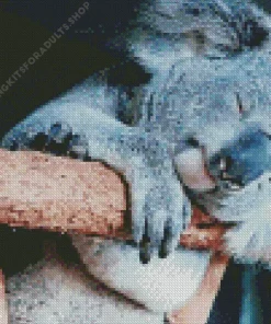 Tired Koala Diamond Painting