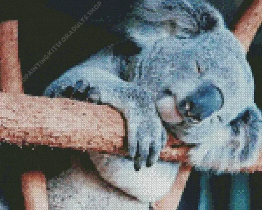 Tired Koala Diamond Painting