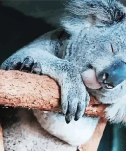 Tired Koala Diamond Painting