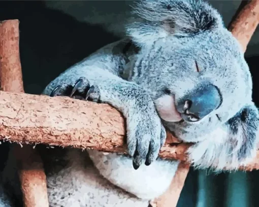 Tired Koala Diamond Painting