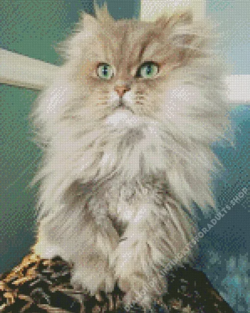 White And Grey Persian Cat Diamond Painting