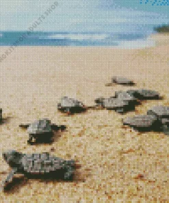 Beach With Turtle Diamond Painting