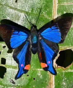 Blue Doctor Butterfly On Leaf Diamond Painting