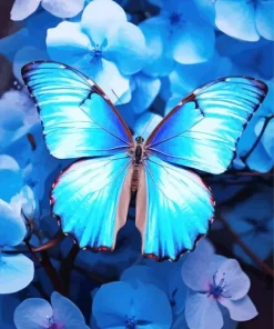 Blue And Black Butterfly On Flowers Diamond Painting