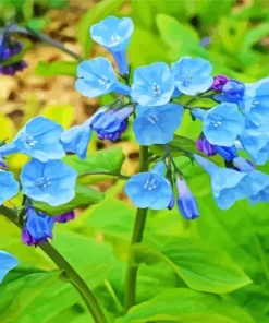 Bluebells Plants Diamond Painting