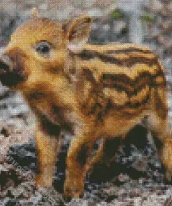 Boar Baby Diamond Painting