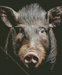 Boar Face Diamond Painting