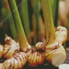 Ginger Plant Diamond Painting