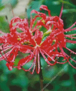 Red Spider Lily Diamond Painting
