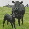 The Aberdeen Angus Diamond Painting