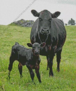 The Aberdeen Angus Diamond Painting