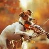 Aesthetic Dog Playing Violin Art Diamond Painting