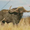 African Buffalo Diamond Painting