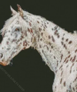 Appaloosa Leopard Diamond Painting