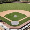 Baseball Field Diamond Painting