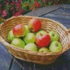 Basket Of Apples Diamond Painting