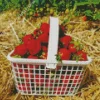 Basket Of Strawberries Diamond Painting