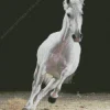 Beautiful White Stallion Diamond Painting