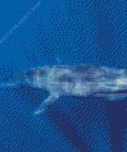 Big Blue Whale Diamond Painting