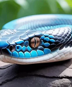 Black And Blue Snake Diamond Painting