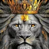Black And Gold Lion Diamond Painting