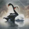 Black And White Swans Diamond Painting