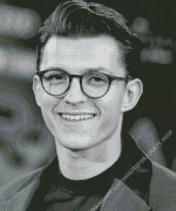 Black And White Tom Holland Diamond Painting