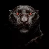 Black Panther Animal Diamond Painting