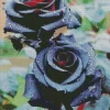 Black Roses Diamond Painting