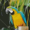Blue And Gold Macaw Diamond Painting