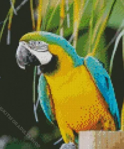 Blue And Gold Macaw Diamond Painting