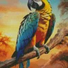 Blue And Gold Macaw Bird Diamond Painting