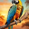 Blue And Gold Macaw Bird Diamond Painting