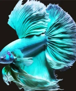 Blue And Green Betta Fish Diamond Painting