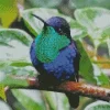 Blue And Green Hummingbird Diamond Painting