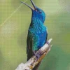 Blue And Green Hummingbird Bird Diamond Painting