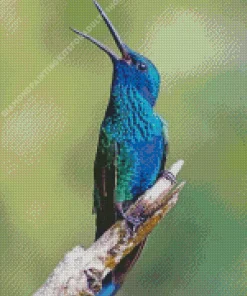 Blue And Green Hummingbird Bird Diamond Painting