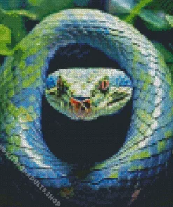 Blue And Green Pit Vipers Diamond Painting