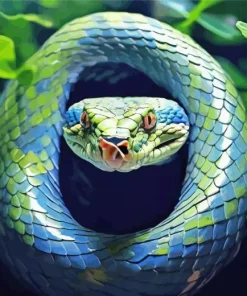 Blue And Green Pit Vipers Diamond Painting