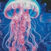 Blue And Pink Jellyfish Diamond Painting
