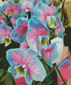 Blue And Pink Orchid Diamond Painting