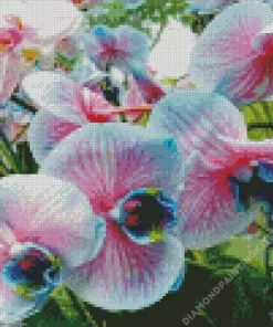 Blue And Pink Orchids Diamond Painting