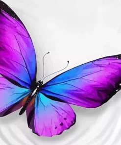 Blue And Purple Butterfly Diamond Painting