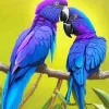 Blue And Purple Parrots Diamond Painting